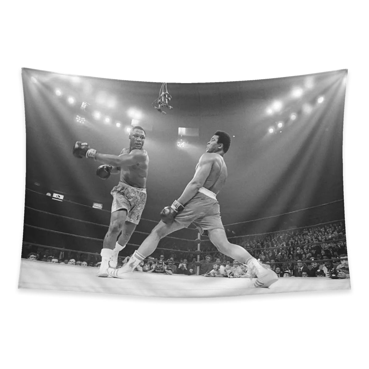 Ali Frazier tapestry and flag mockup