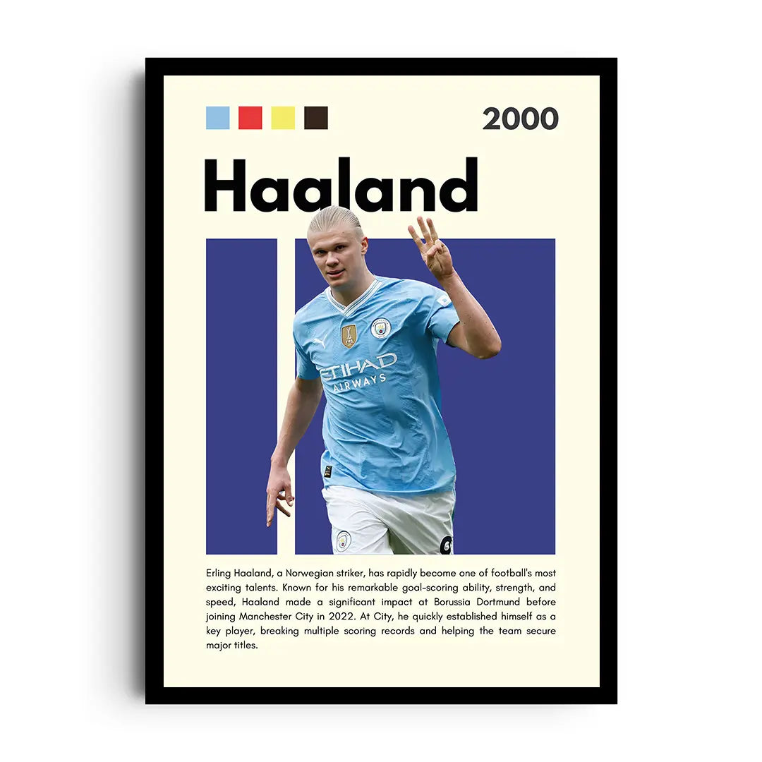 HAALAND MACHINE